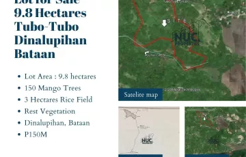 Agricultural Lot For Sale in Tubo-Tubo, Dinalupihan, Bataan