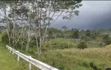 Agricultural Lot For Sale in Tikalaan, Talakag, Bukidnon