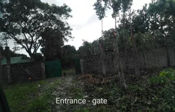 Commercial Lot For Rent in Bagtic, Silay, Negros Occidental