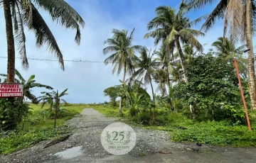 Agricultural Lot For Sale in Dinahican, Infanta, Quezon