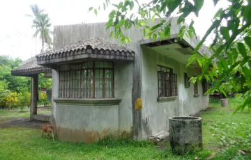 Single-family House For Sale in Salvacion, Daraga, Albay