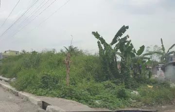 Agricultural Lot For Sale in Lower Bicutan, Taguig, Metro Manila