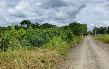 Agricultural Lot For Sale in J.P. Laurel, Panabo, Davao del Norte