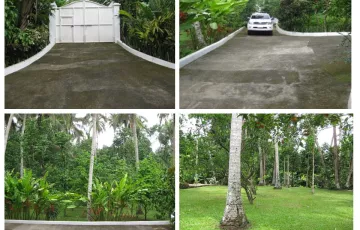Residential Lot For Sale in San Pablo, Laguna