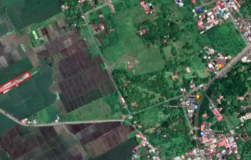 Agricultural Lot For Sale in Pila, Laguna