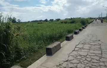 Agricultural Lot For Sale in San Isidro, Cabuyao, Laguna