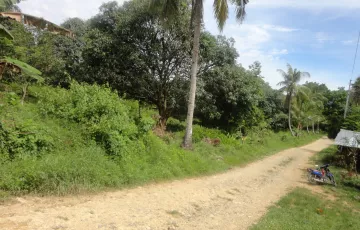 Agricultural Lot For Sale in Asturias, Cebu