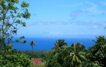 Agricultural Lot For Sale in Bagacay, Dauin, Negros Oriental