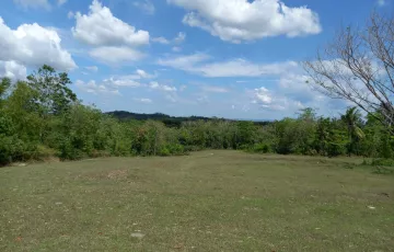 Residential Lot For Sale in Guisian, Tigbauan, Iloilo