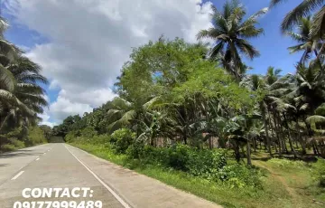 Agricultural Lot For Sale in Osmeña, Dapa, Surigao del Norte