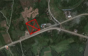 Commercial Lot For Rent in Guadalupe, Carmen, Davao del Norte