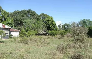 Agricultural Lot For Sale in Orani, Bataan