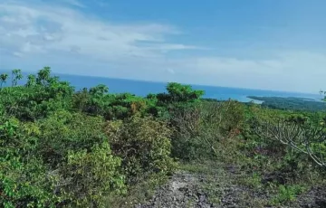 Agricultural Lot For Sale in Carmen, Cebu