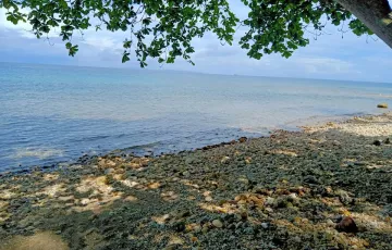 Beach lot For Sale in Catmon, Cebu