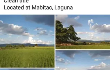 Agricultural Lot For Sale in Maligaya, Mabitac, Laguna