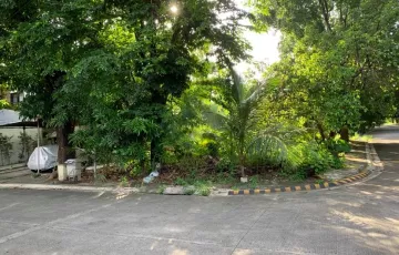 Residential Lot For Sale in Novaliches, Quezon City, Metro Manila