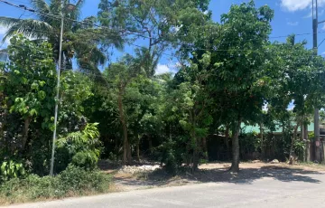 Agricultural Lot For Sale in Iba, Silang, Cavite