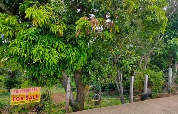 Residential Lot For Sale in Asisan, Tagaytay, Cavite