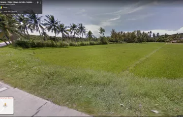 Agricultural Lot For Sale in Campokpok, Tabango, Leyte