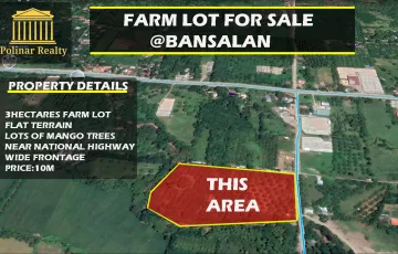 Agricultural Lot For Sale in Bansalan, Davao del Sur