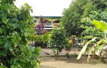 Agricultural Lot For Sale in Majayjay, Laguna
