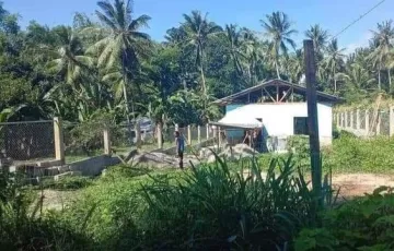 Single-family House For Sale in San Miguel, Bacong, Negros Oriental