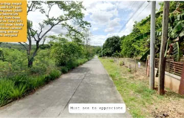 Residential Lot For Sale in Clark, Mabalacat, Pampanga