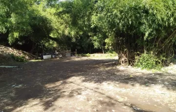Commercial Lot For Rent in San Antonio, San Pascual, Batangas