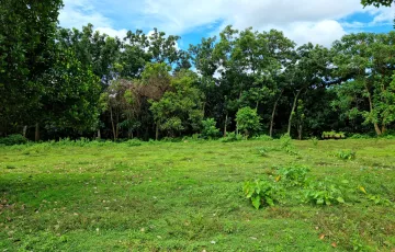 Residential Lot For Sale in Talay, Dumaguete, Negros Oriental