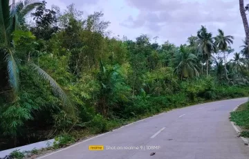 Agricultural Lot For Sale in Corella, Bohol