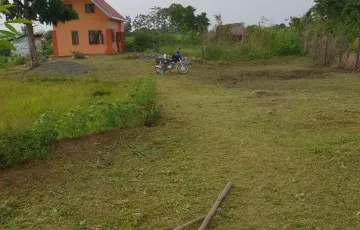 Agricultural Lot For Sale in Punta Baja, Rizal, Palawan