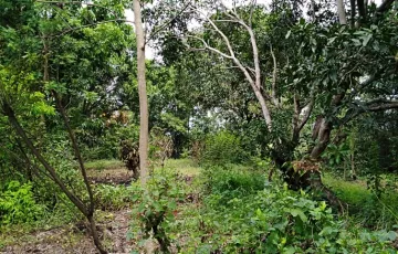 Agricultural Lot For Sale in Pulong Santol, Porac, Pampanga