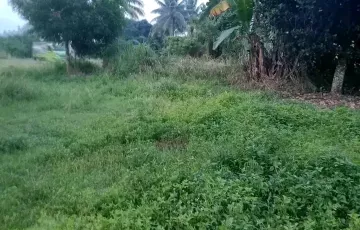 Residential Lot For Sale in Lamsugod, Surallah, Cotabato