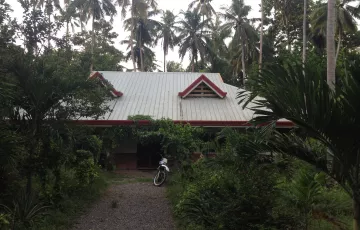 Single-family House For Rent in Poblacion, Panglao, Bohol