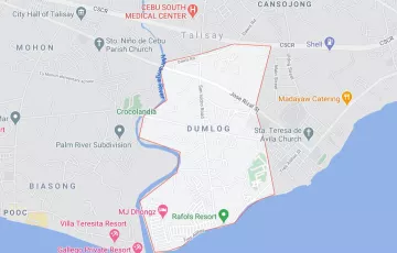Commercial Lot For Rent in Dumlog, Talisay, Cebu