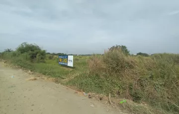 Agricultural Lot For Rent in Lagundi, Plaridel, Bulacan