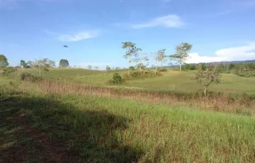 Land For Sale in Vallehermoso, Carmen, Bohol