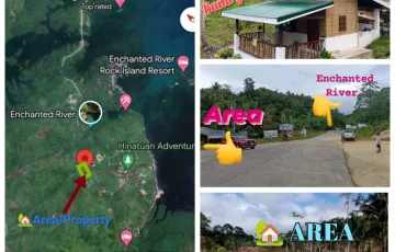 Residential Lot For Sale in Talisay, Hinatuan, Surigao del Sur