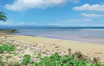 Beach lot For Sale in Barili, Cebu