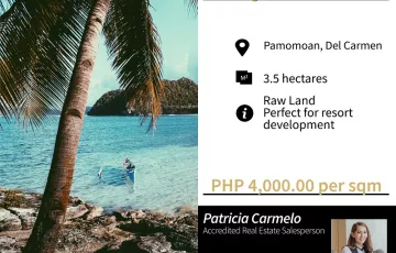 Beach lot For Sale in Caub, Del Carmen, Surigao del Norte