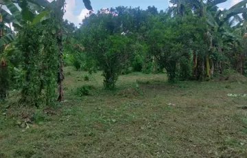 Agricultural Lot For Sale in Behia, Tiaong, Quezon