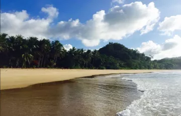 Beach lot For Sale in Teneguiban, El Nido, Palawan