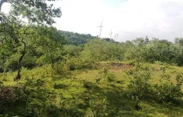 Agricultural Lot For Sale in Halayhayin, Pililla, Rizal