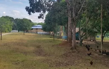 Agricultural Lot For Sale in Gossood, Mayantoc, Tarlac