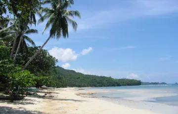 Beach lot For Sale in Sipalay, Negros Occidental