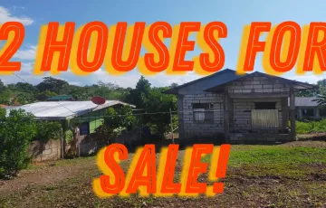 Single-family House For Sale in Malingin, Bogo, Cebu