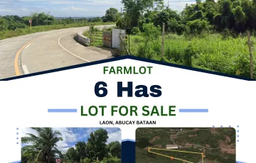 Agricultural Lot For Sale in Laon, Abucay, Bataan