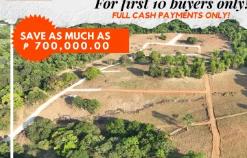 Agricultural Lot For Sale in Bilolo, Orion, Bataan