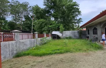 Single-family House For Sale in Zone 3, Digos, Davao del Sur
