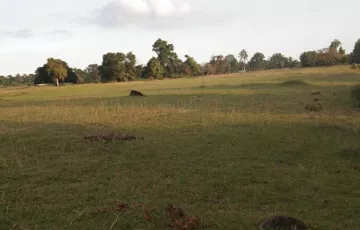 Agricultural Lot For Sale in Maasin, Brooke's Point, Palawan